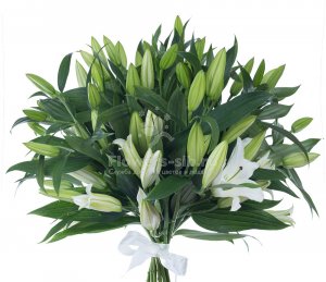 Bouquet of 11 lilies